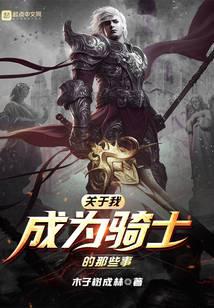关于我成为骑士的那些事